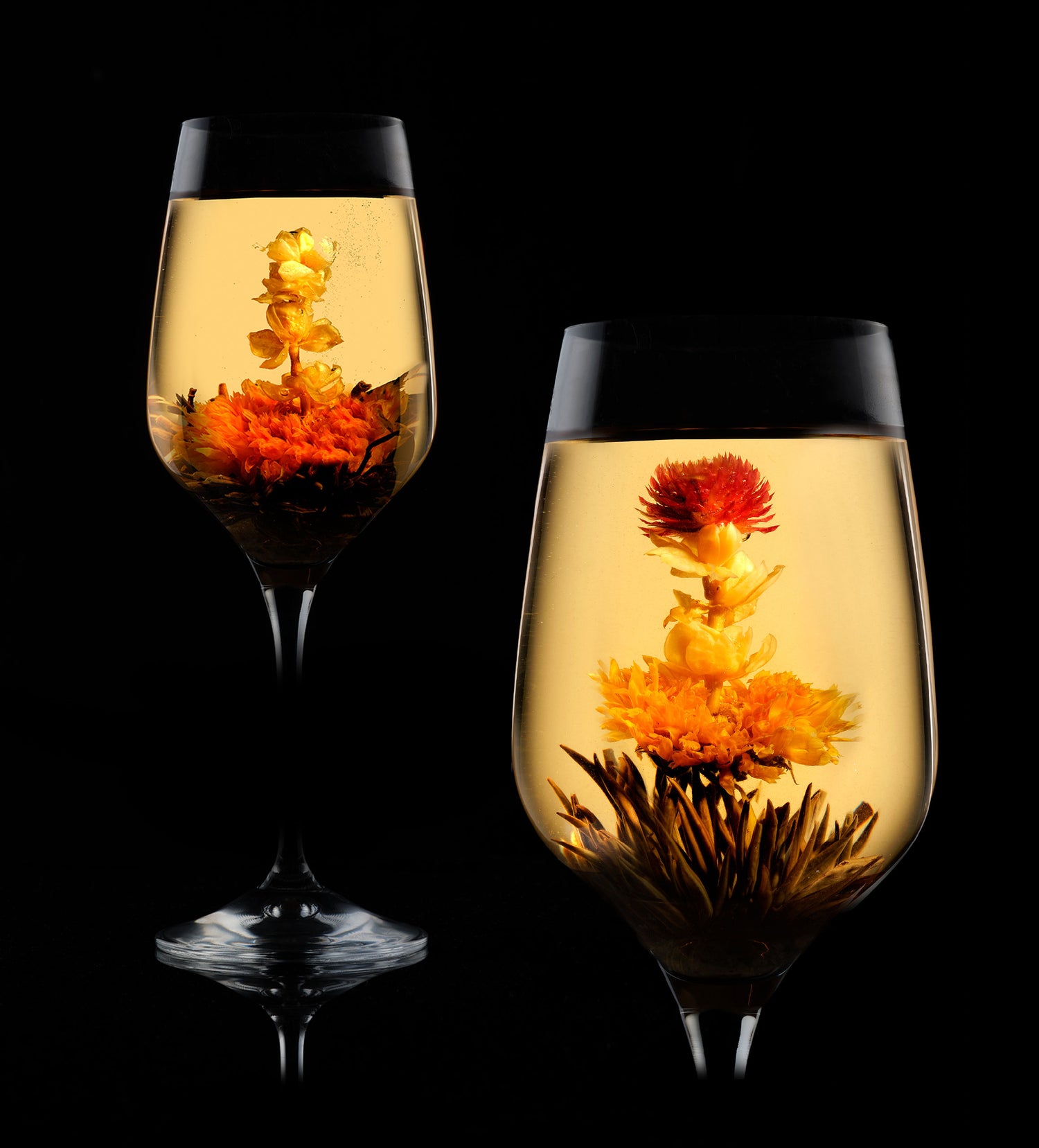 Bloeiende theebloemen die zich openen in twee glazen met warme goudkleurige thee, waarbij de bloemen zich ontvouwen tot kleurrijke rode en gele bloesems tegen een zwarte achtergrond.